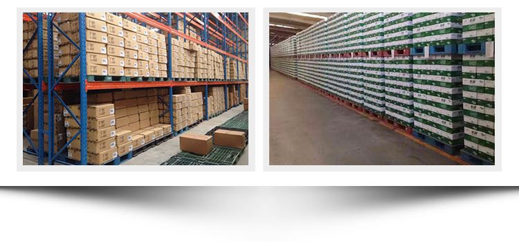 HTB16mbEa.EIL1JjSZFFq6A5kVXa7